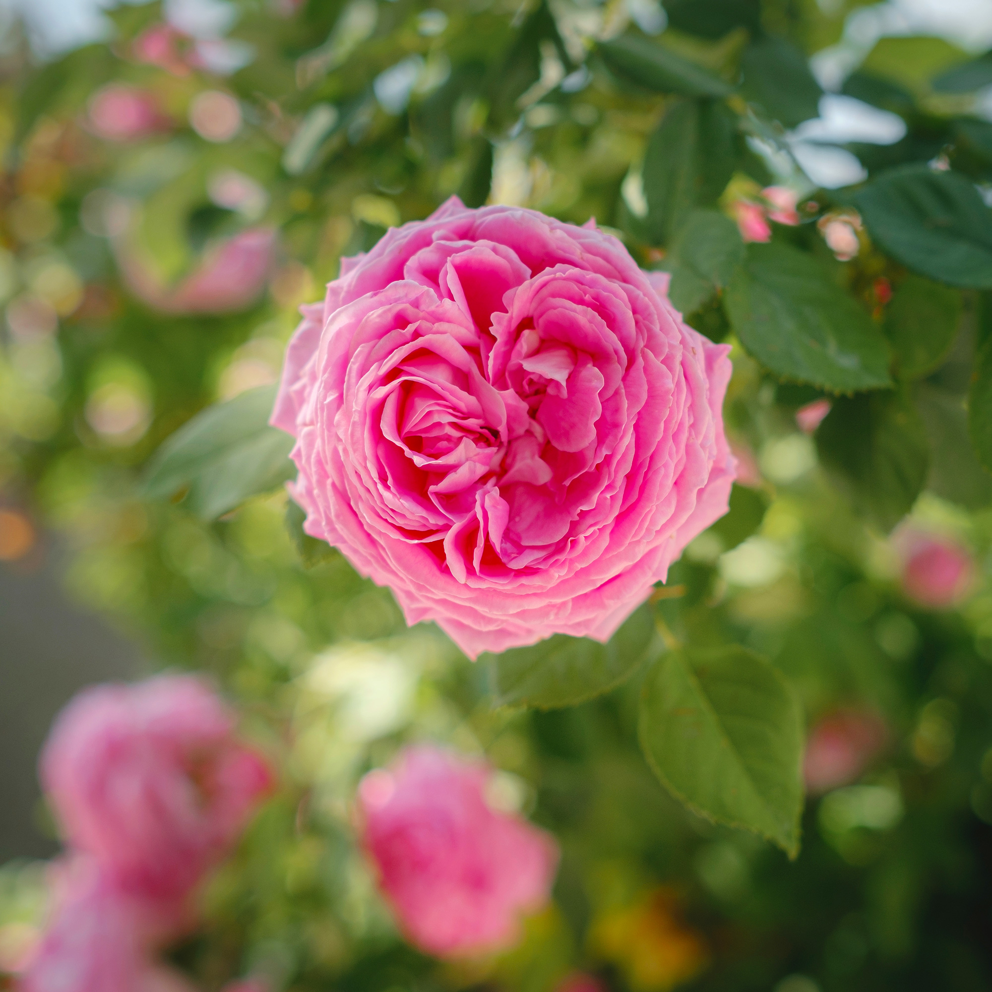 こんなお悩みありませんか?!