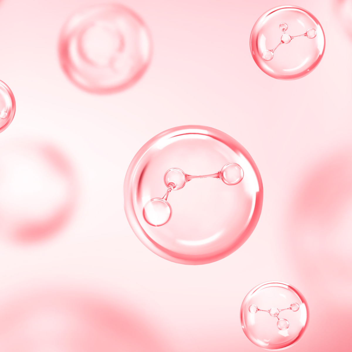 リンゴ果実培養細胞エキス